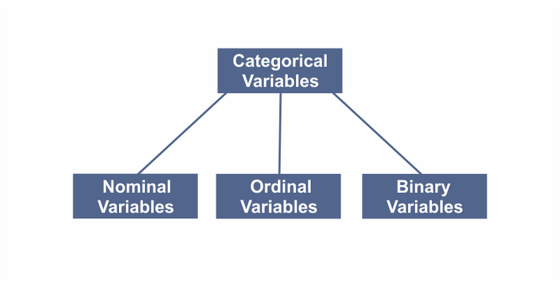   Categorical Variables